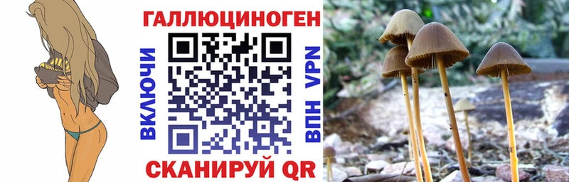 Галлюциногенные грибы прущие грибы  Черкесск 