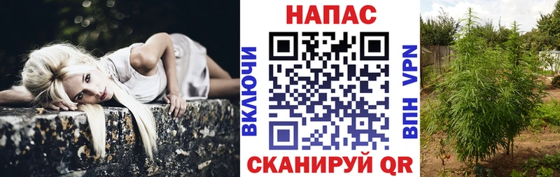 где продают наркотики  Черкесск  МАРИХУАНА марихуана 